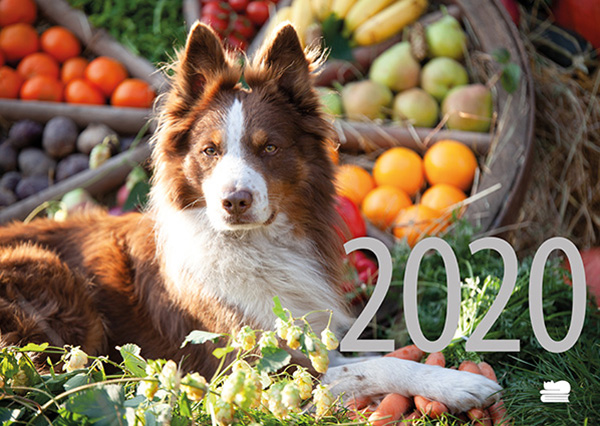 forbruge silhuet Shipley Kalidor-Verlag » Hunde Rezept-Kalender 2020